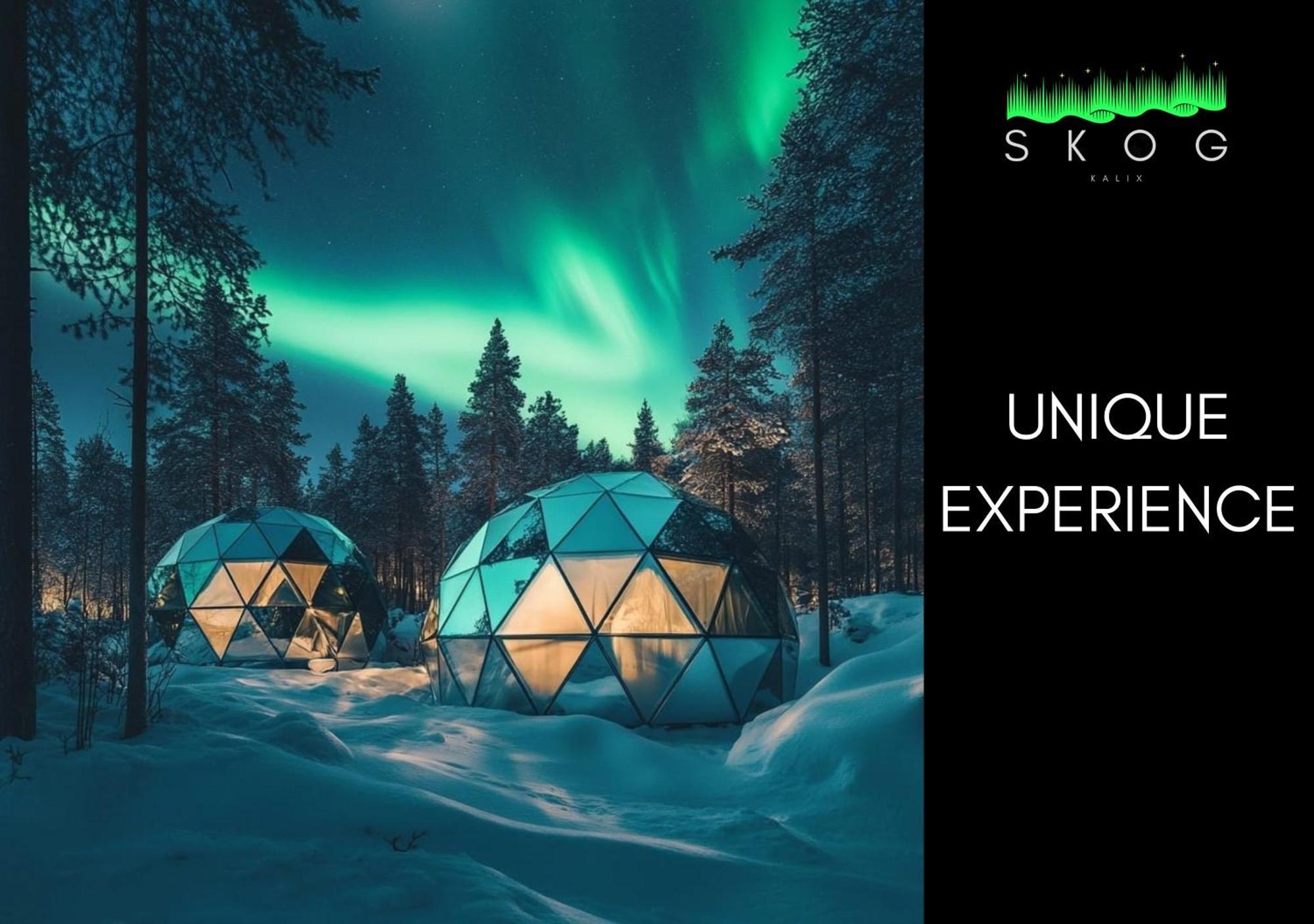 Skog Aurora Igloos Villa Kalix Exterior photo